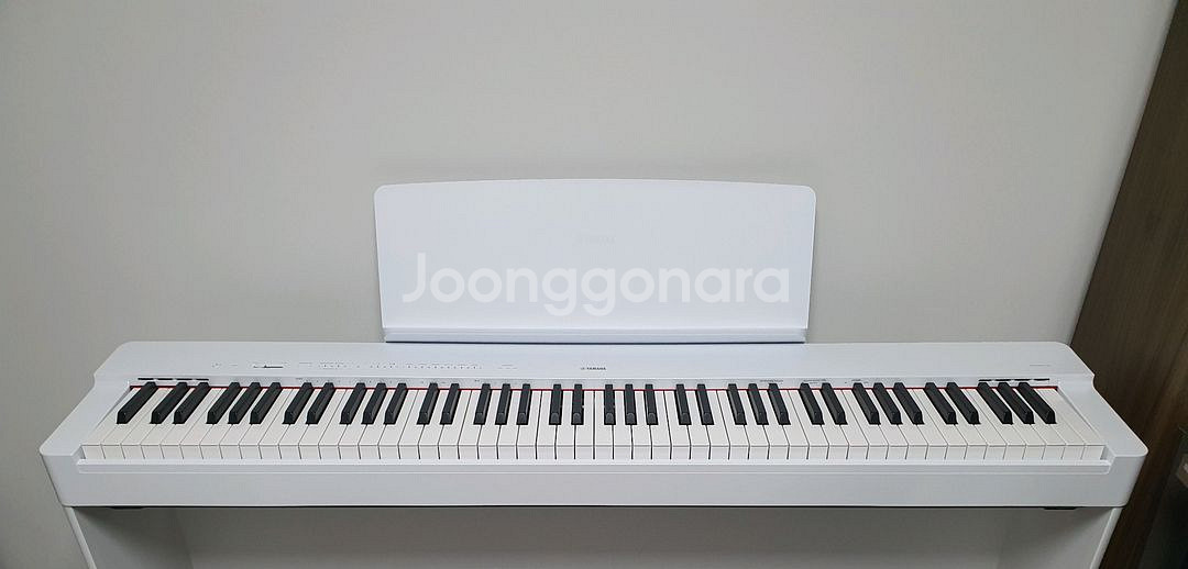 야마하 전자피아노 (Yamaha-P225) 화이트--1
