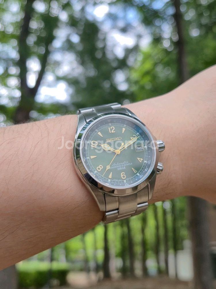 세이코 알피니스트 sarb017 단종직전 내수용 풀박스--0