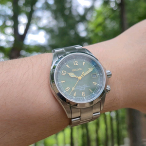 세이코 알피니스트 sarb017 단종직전 내수용 풀박스