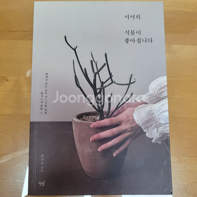 서서히 식물이 좋아집니다--0