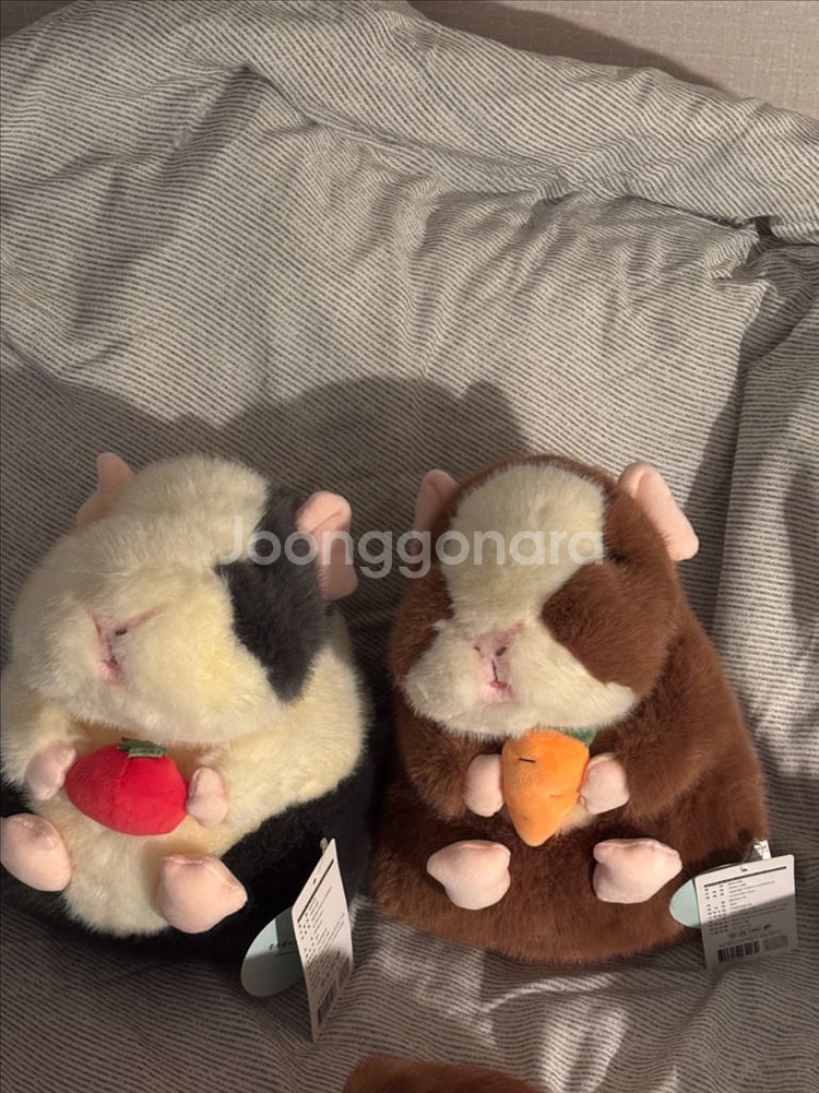 모루못토상 인형--0
