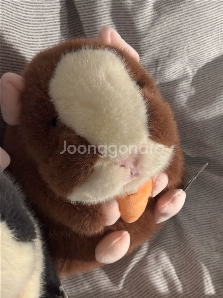 모루못토상 인형--2
