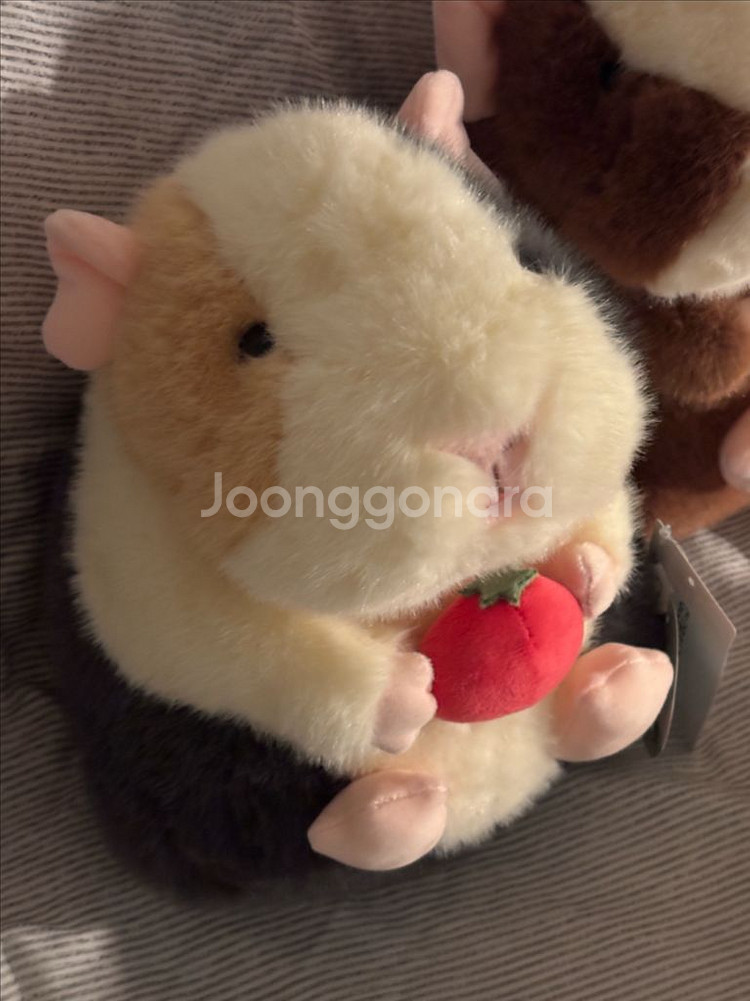 모루못토상 인형--1