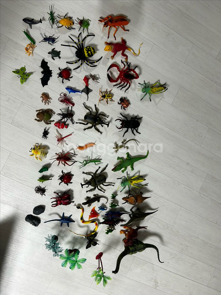 공룡 곤충 동물 피규어 모음--4