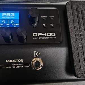 베일톤 gp 100