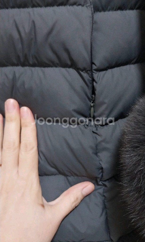 시슬리 롱다운--3