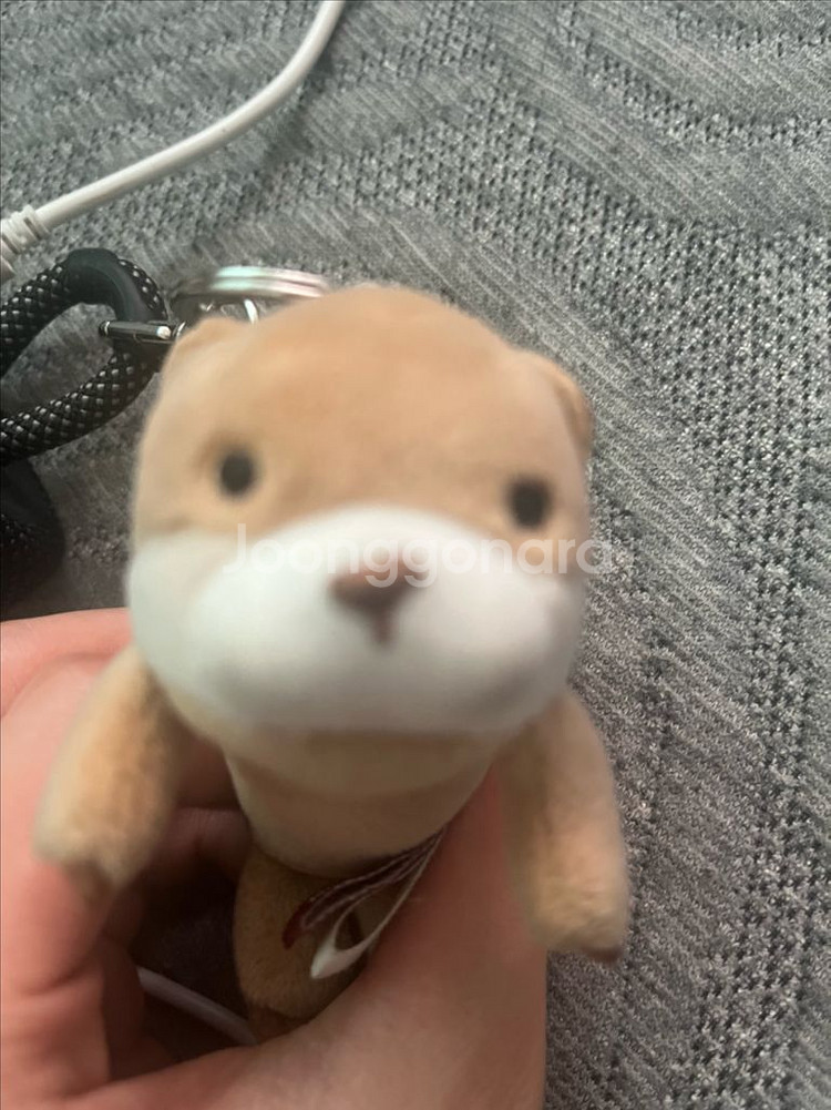 ㄸ배 지망생인데 오토바이 기부해주실 천사분 구합니다!--0