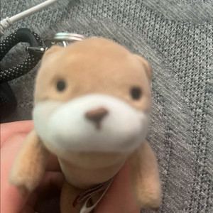 ㄸ배 지망생인데 오토바이 기부해주실 천사분 구합니다!