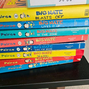 잠수네 영어책 리더스 및 챕터북