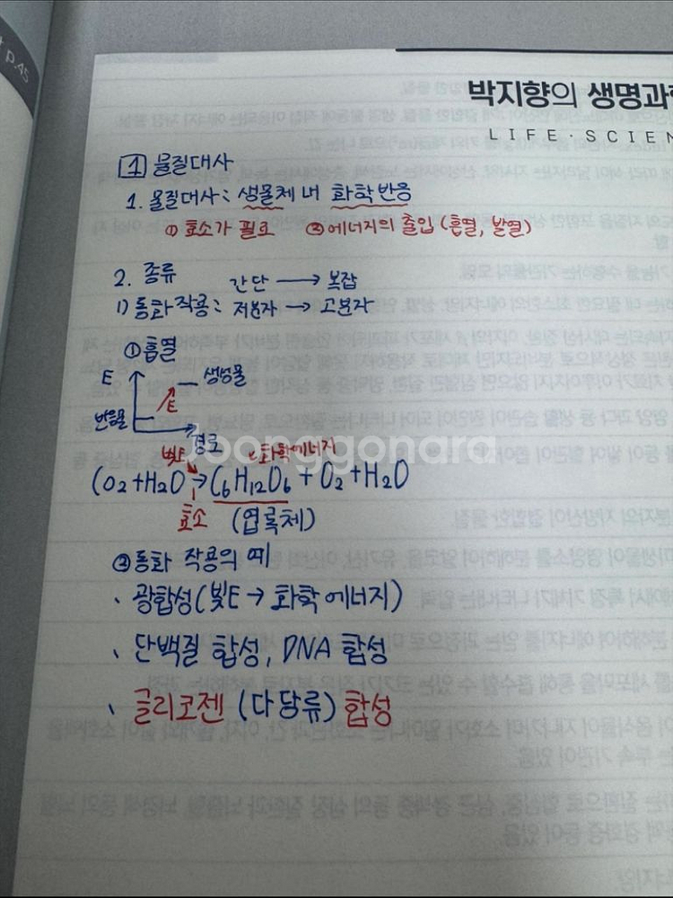 메가스터디 생명과학 1 양도--7