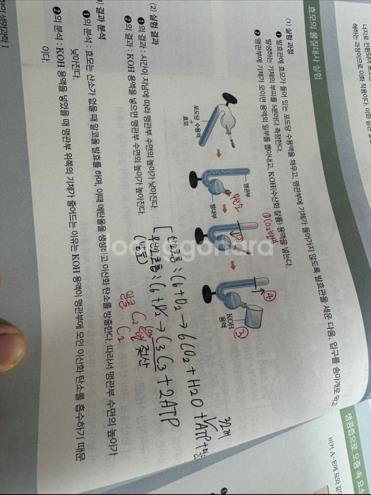 메가스터디 생명과학 1 양도--6