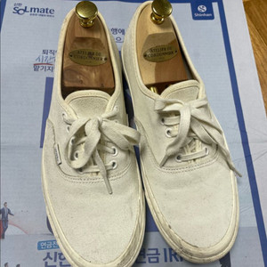 반스 볼트 어센틱 스웨이드 화이트 275