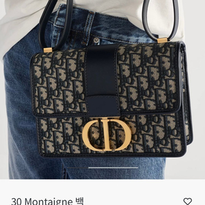 디올30몽테인 오블리크백