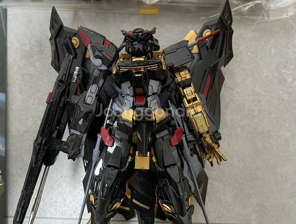 RG 1/144 건담 아스트레이 골드프레임 천미나 가조--1