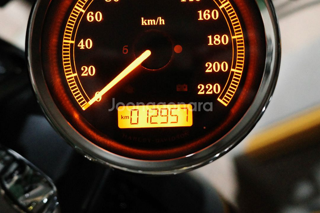 할리 브래이크아웃 2015년 103 12,900km--2