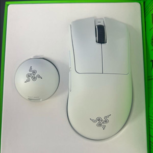 레이저 데스에더 v4 pro 국내정발