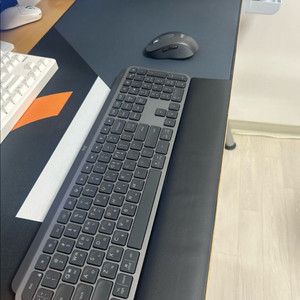 mx keys s + m650