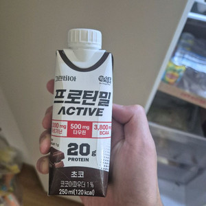프로틴밀 단백질