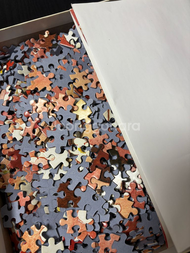 빨간머리 앤 1014피스 퍼즐 포스터 포함--1