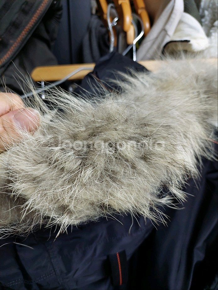 파라점퍼스 고비 블랙 봄버 패딩 L 백화점판--7