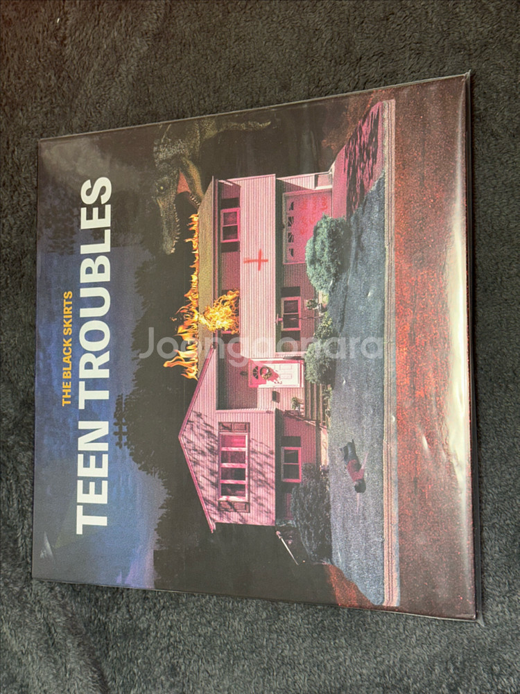 검정치마 Teen Troubles LP 바이닐 음반--0