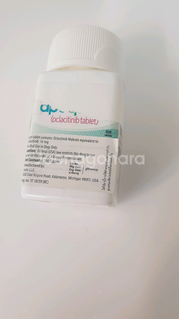 강아지 알러지&아토피 소양증 피부약 아포X--3