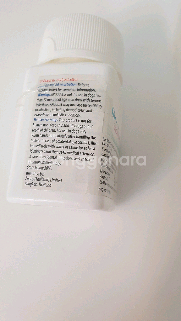 강아지 알러지&아토피 소양증 피부약 아포X--5