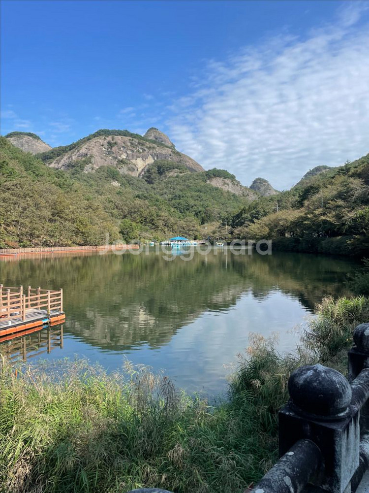 유사브롬톤구매합니다.--0