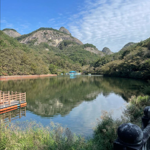 유사브롬톤구매합니다.