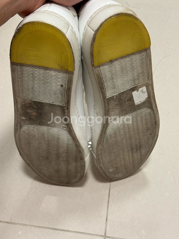 커먼프로젝트 아킬레스 로우 41사이즈--5