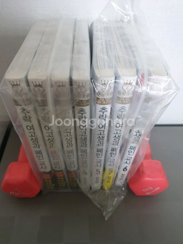 추락여고생 외 개인소장 만화책 소설책 화보집 굿즈--2