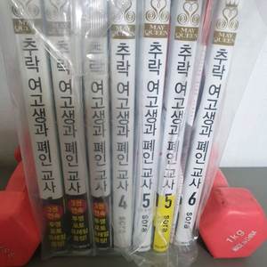 추락여고생 외 개인소장 만화책 소설책 화보집 굿즈