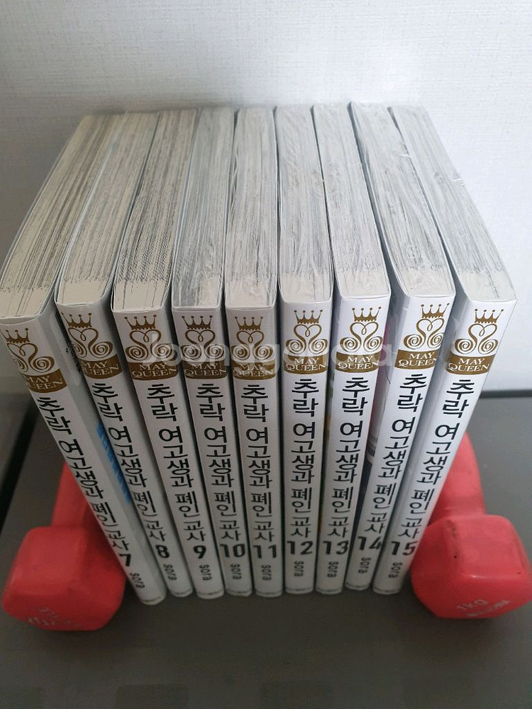 추락여고생 외 개인소장 만화책 소설책 화보집 굿즈--3