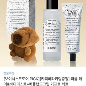 비비앙 퍼퓸 헤어&바디미스트+퍼퓸핸드크림 기프트 세트