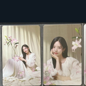 프로미스나인 박지원 모던티카 포카