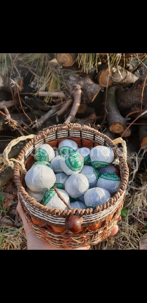 소청감 보이차--0