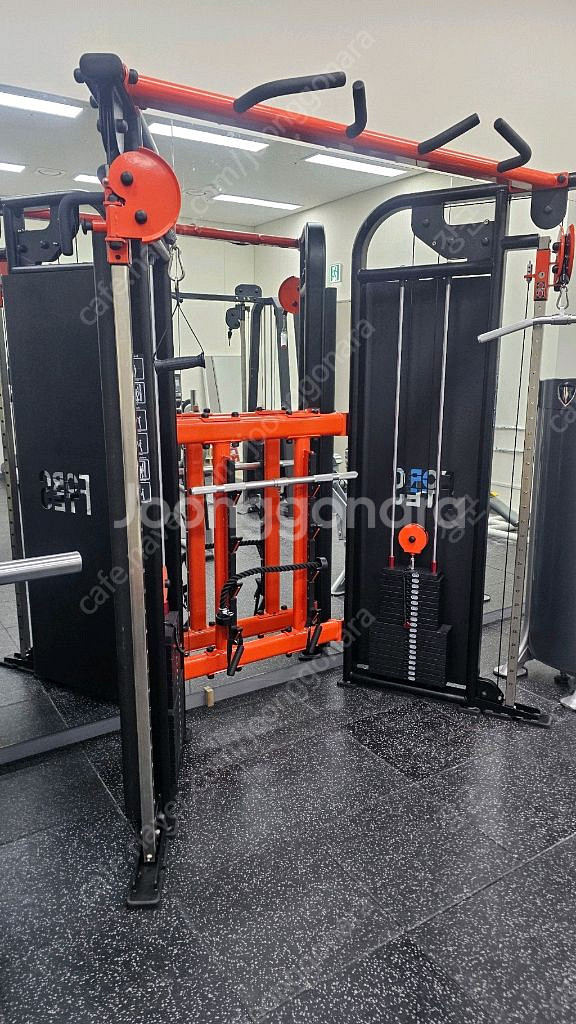 뉴텍 듀얼풀리, 스미스, 스쿼트랙 팝니다--0