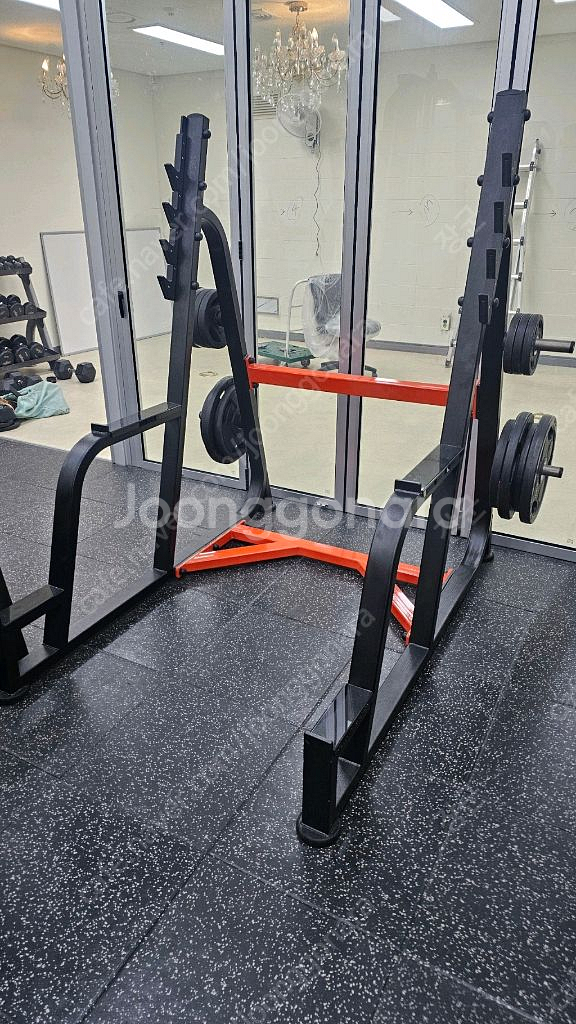 뉴텍 듀얼풀리, 스미스, 스쿼트랙 팝니다--2