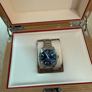 오메가 아쿠아테라 청판 41mm