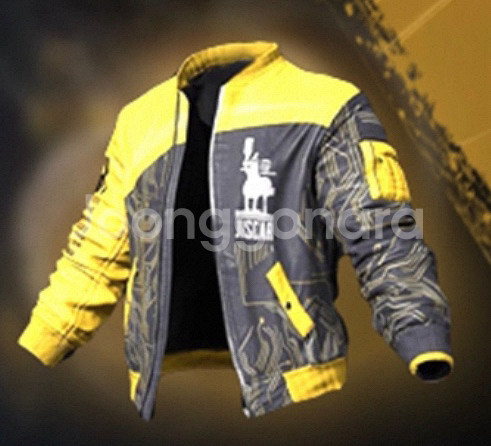 배그 옐로지스카 스킨코드--0