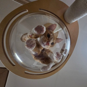 배그 클랜 구매해요 이미지