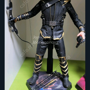 페로나.할리퀸 슈어사크아이. 대구 거격다운