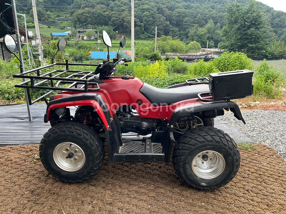 ATV 중고 사륜오토바이 농업용 바이크 125cc--0