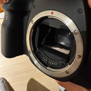 캐논 육두막 dslr 6D mark2 풀프레임+가방+삼