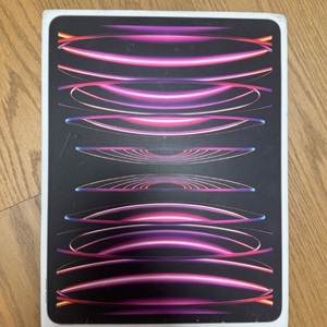 아이패드 프로 6세대 12.9인치 스그 wifi