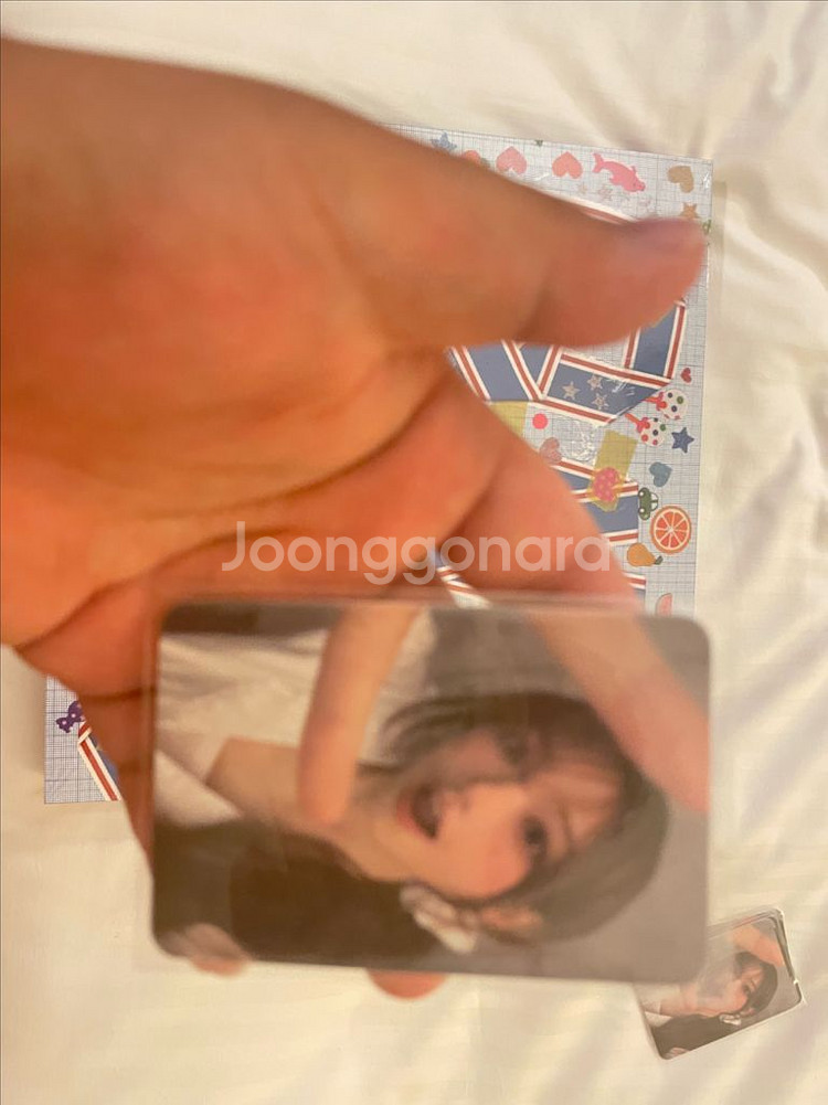 qwer lp 일본 300장 한정 멤버별 포카 4장포함 택포--3