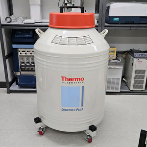 Thermo Locator 6 Plus 액체질소통