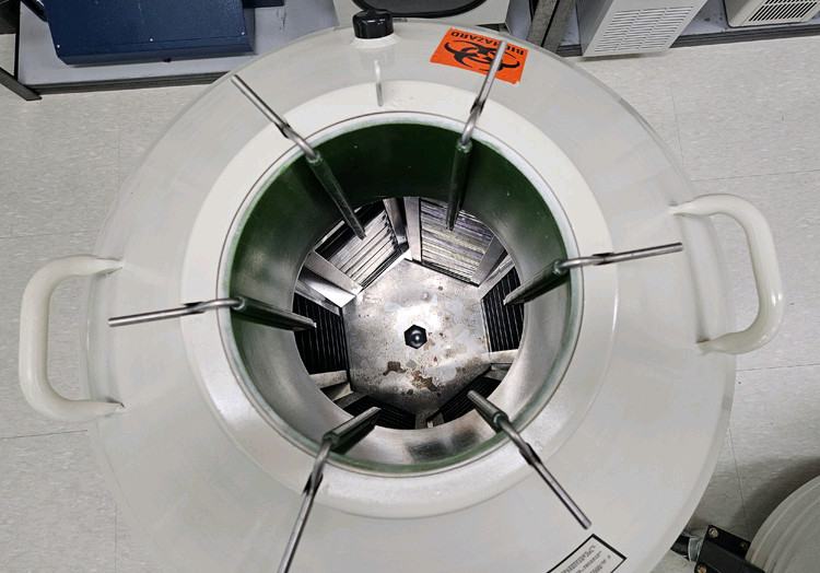 Thermo Locator 6 Plus LN2 Tank / 액체질소통 (175L) 이미지