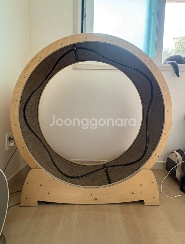 집사의반격 스타캣휠 1060(대)--0