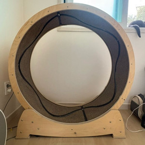 집사의반격 스타캣휠 1060(대)